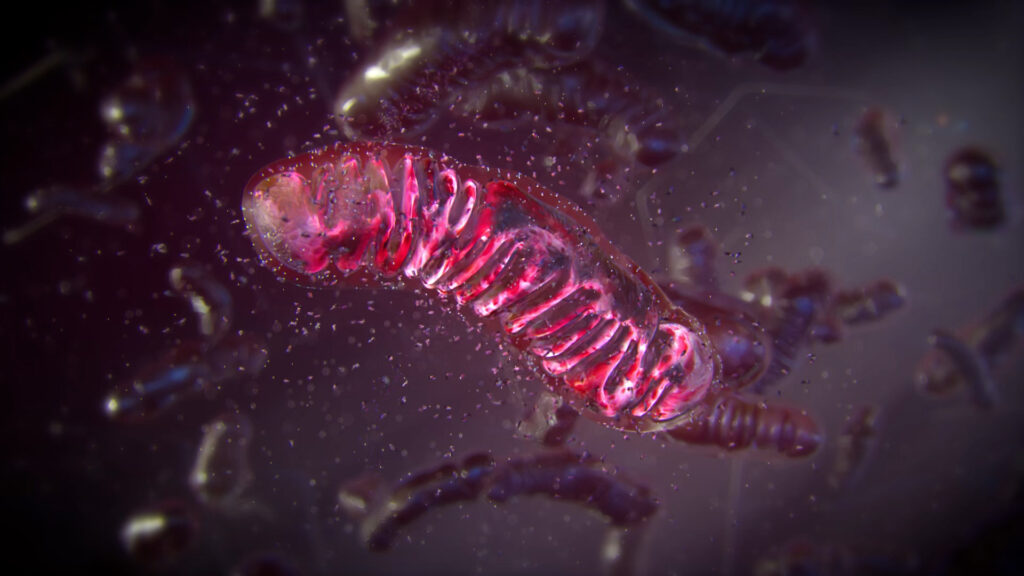 Mitochondria graphic from cancerevolution film