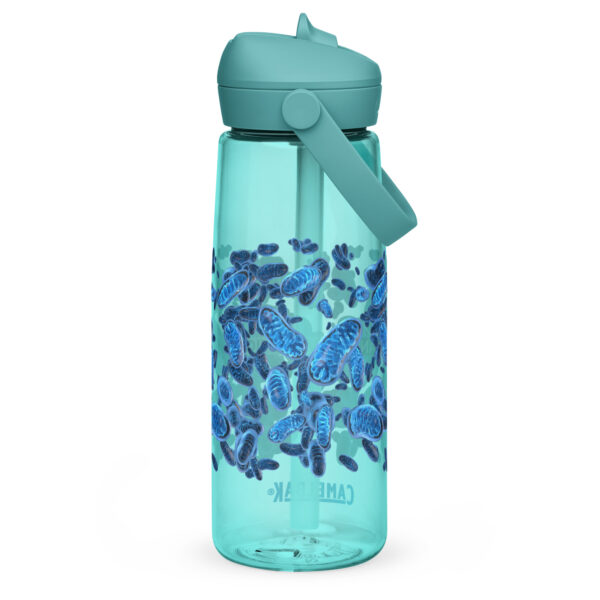 Flip straw water bottle. CamelbaK with custom mitochondria and Logo. - Image 8